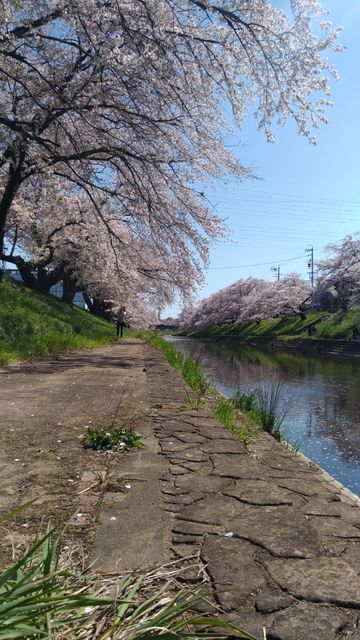 P_20190409_134915_vHDR_Auto
