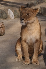 豊橋動植物園_おかーさん