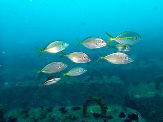 E36hvElTnTgY65HueLtDx7Nf79FiBRm9CgQ05AJN9gk (640x480)