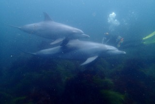 P7231199