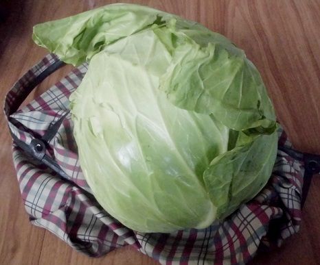 雅走草想 認知症ワクチン