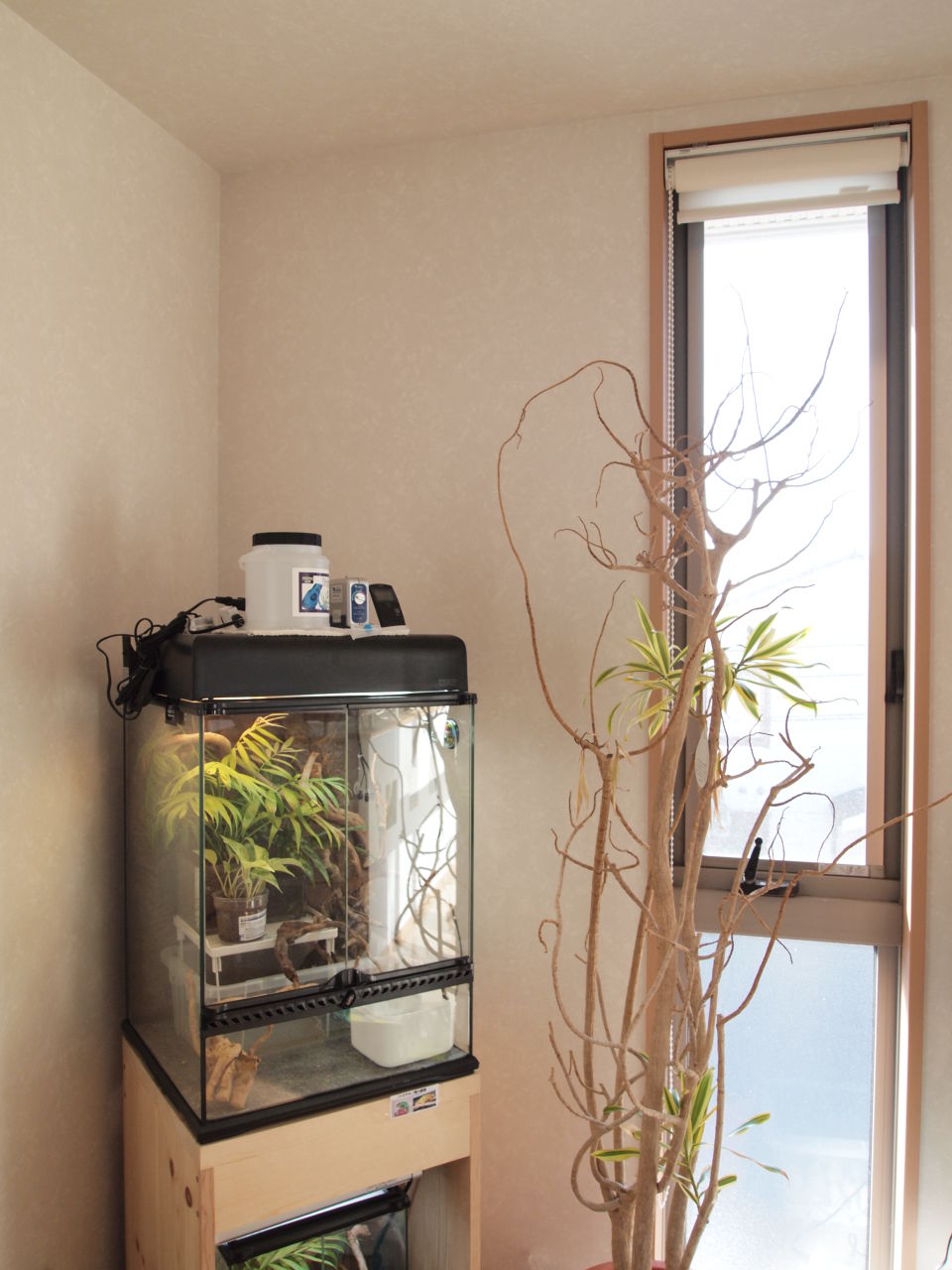 ソングオブインディア ｌｅｔ ｓ ｅｎｊｏｙ