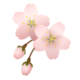 m002_sakura1