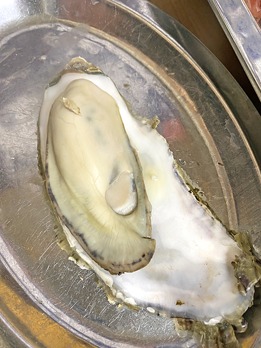 日の出3749