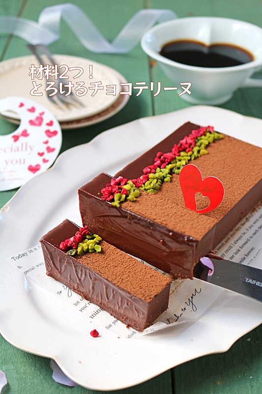 チョコテリーヌ4713