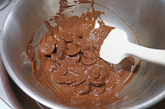 チョコテリーヌ4998