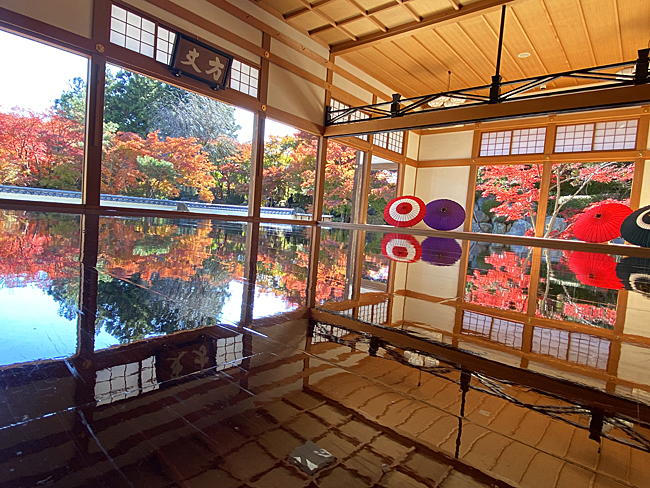 法徳寺2565