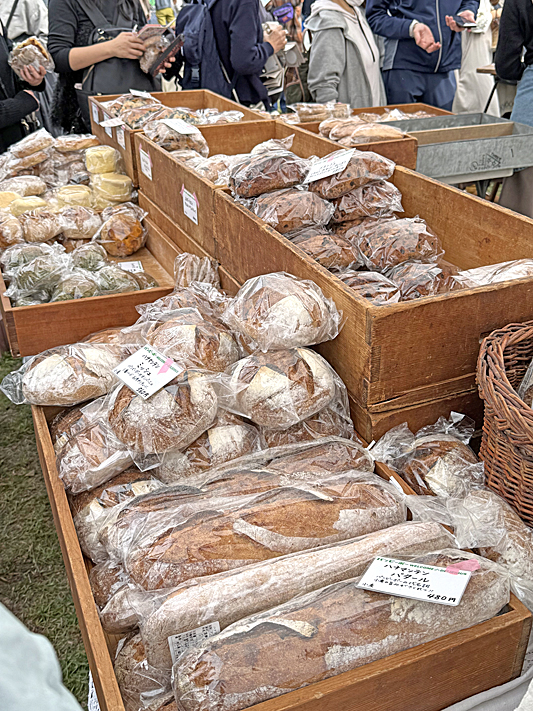 蚤の市6546