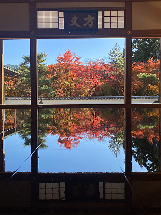 法徳寺2559