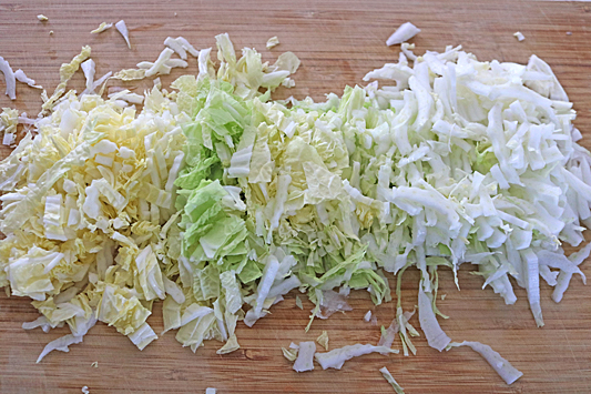 白菜レモンサラダ2175