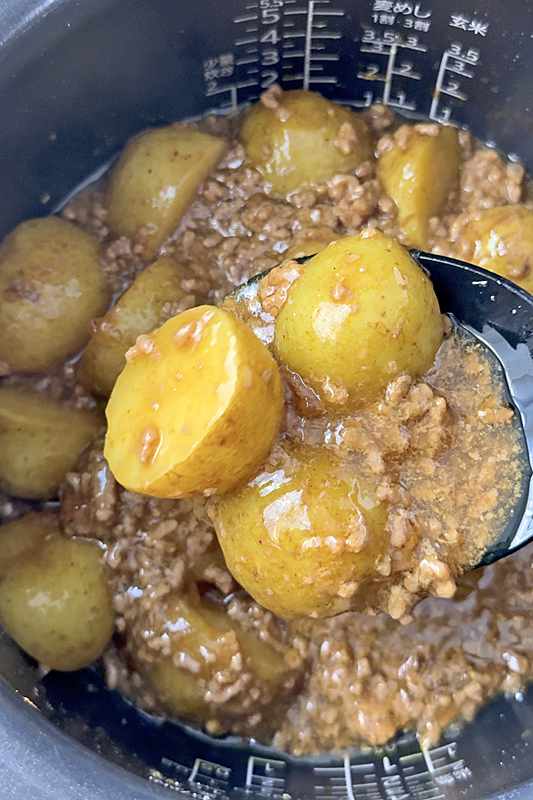 新じゃがカレーそぼろ1704