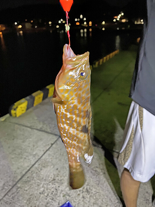 海1325