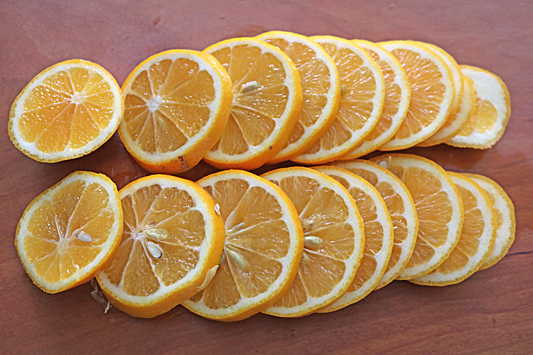 レモンシロップ5568