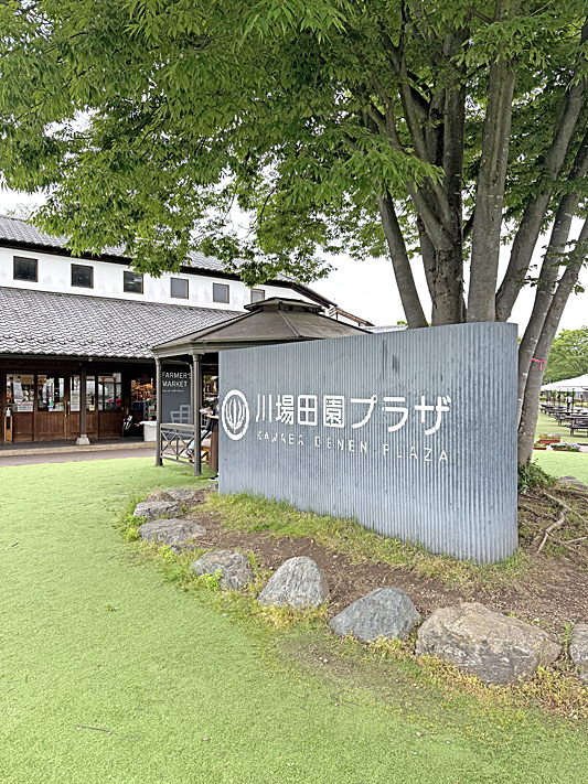 道の駅9753 (1)
