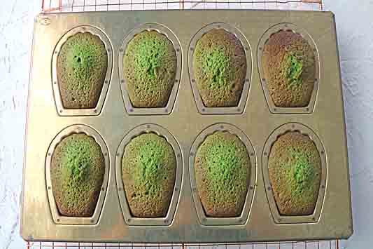 マドレーヌ抹茶6382