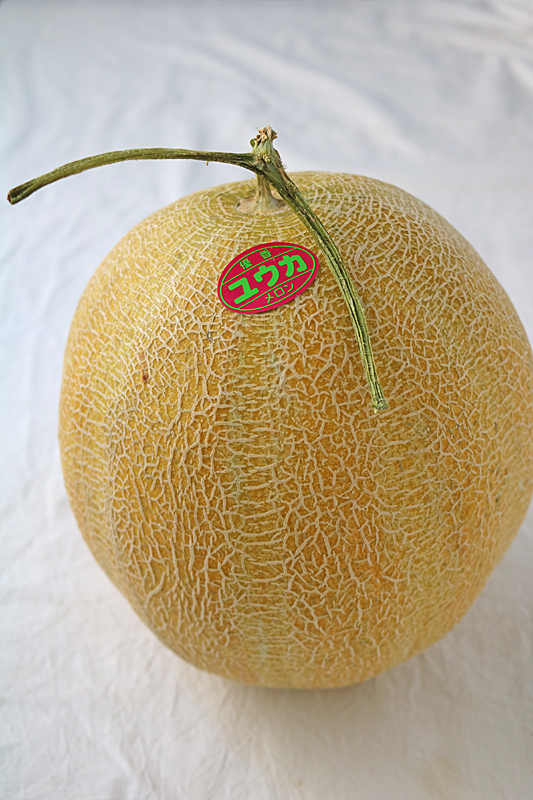 メロン8829