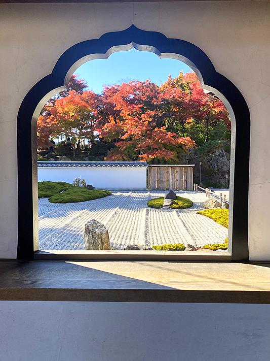 法徳寺2447