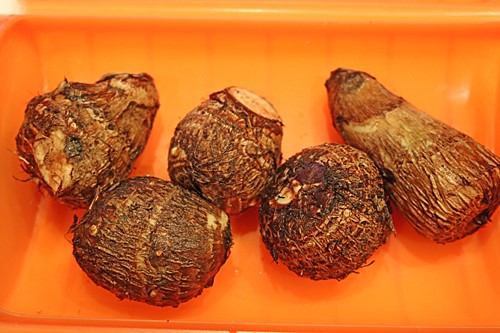 a6d9862c.jpg