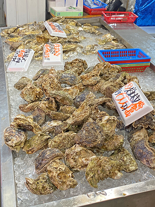 海1285