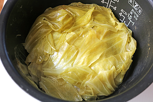 豚キャベツ餃子8711