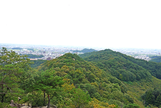 aa3d66a8.jpg