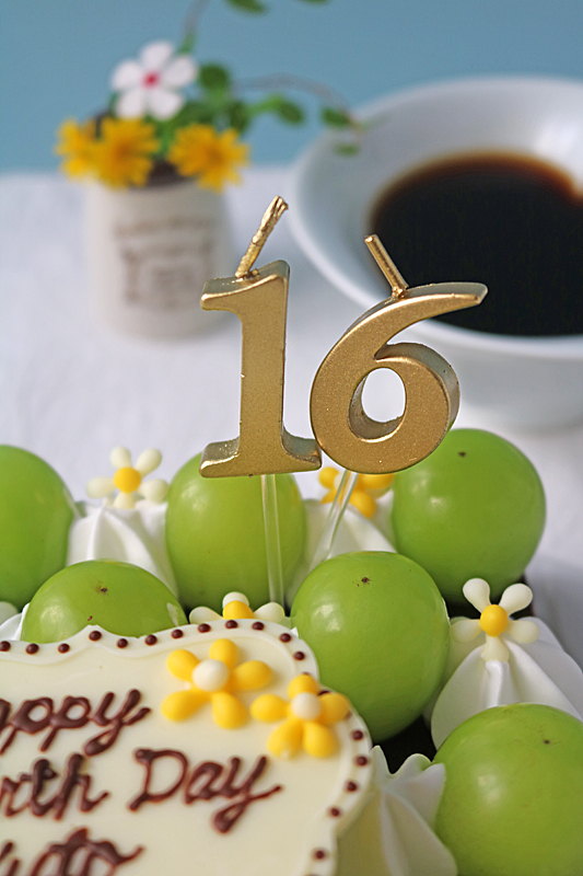 マスカットケーキ1735