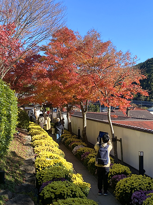 法徳寺2453