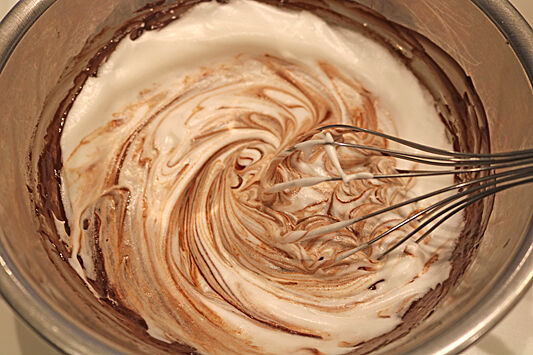 チョコムース6956