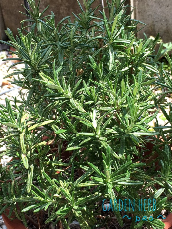 ef2088d1.jpg