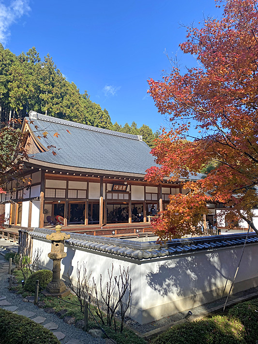 法徳寺2536