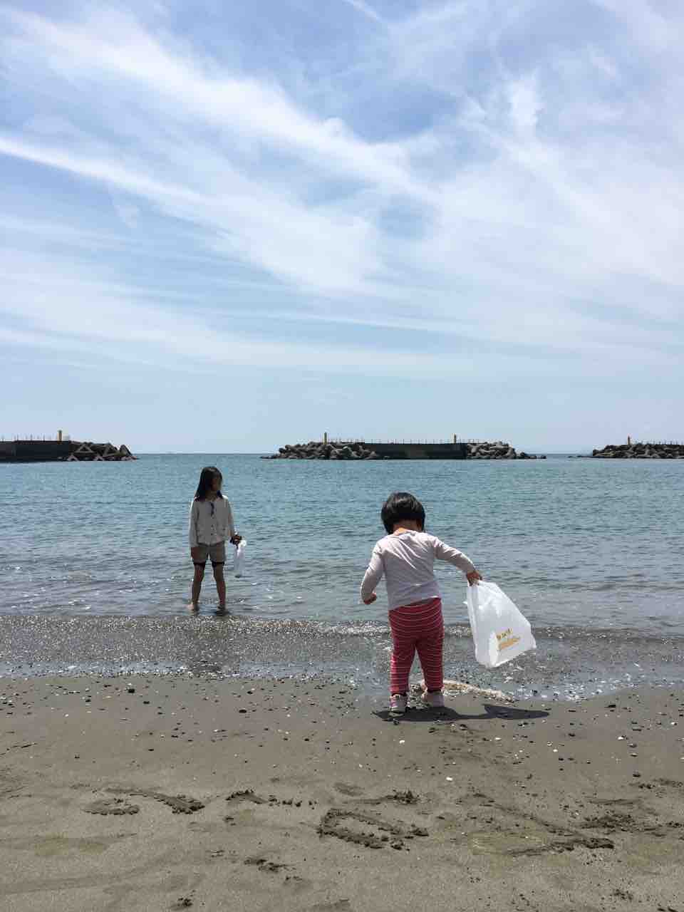 ヤ シィパークでキレイな貝殻拾い 子どもとの遊び場情報と写真 高知県