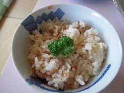 DSCN6582