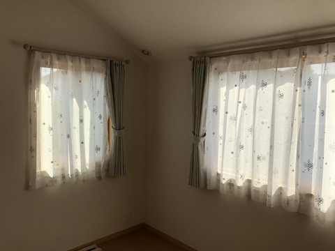 S__31596556