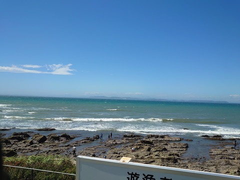 DSC_0085 (6)