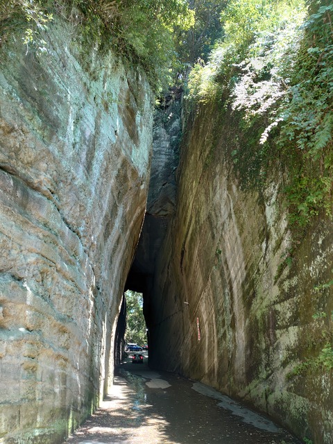 DSC_0067 (5)