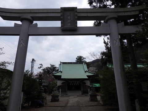 RIMG0860