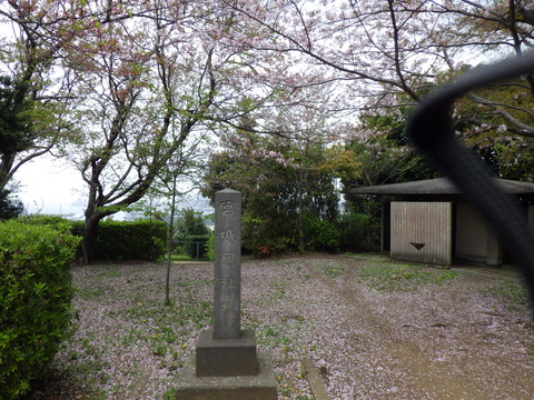 RIMG0864