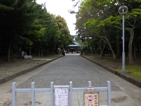 RIMG0858