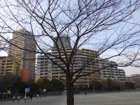 RIMG0601