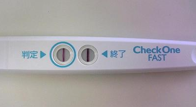 妊娠検査薬について調べてみた 煮干おっとの妊娠子育て日記 妊娠検査薬について調べてみた 煮干おっとの妊娠子育て日記