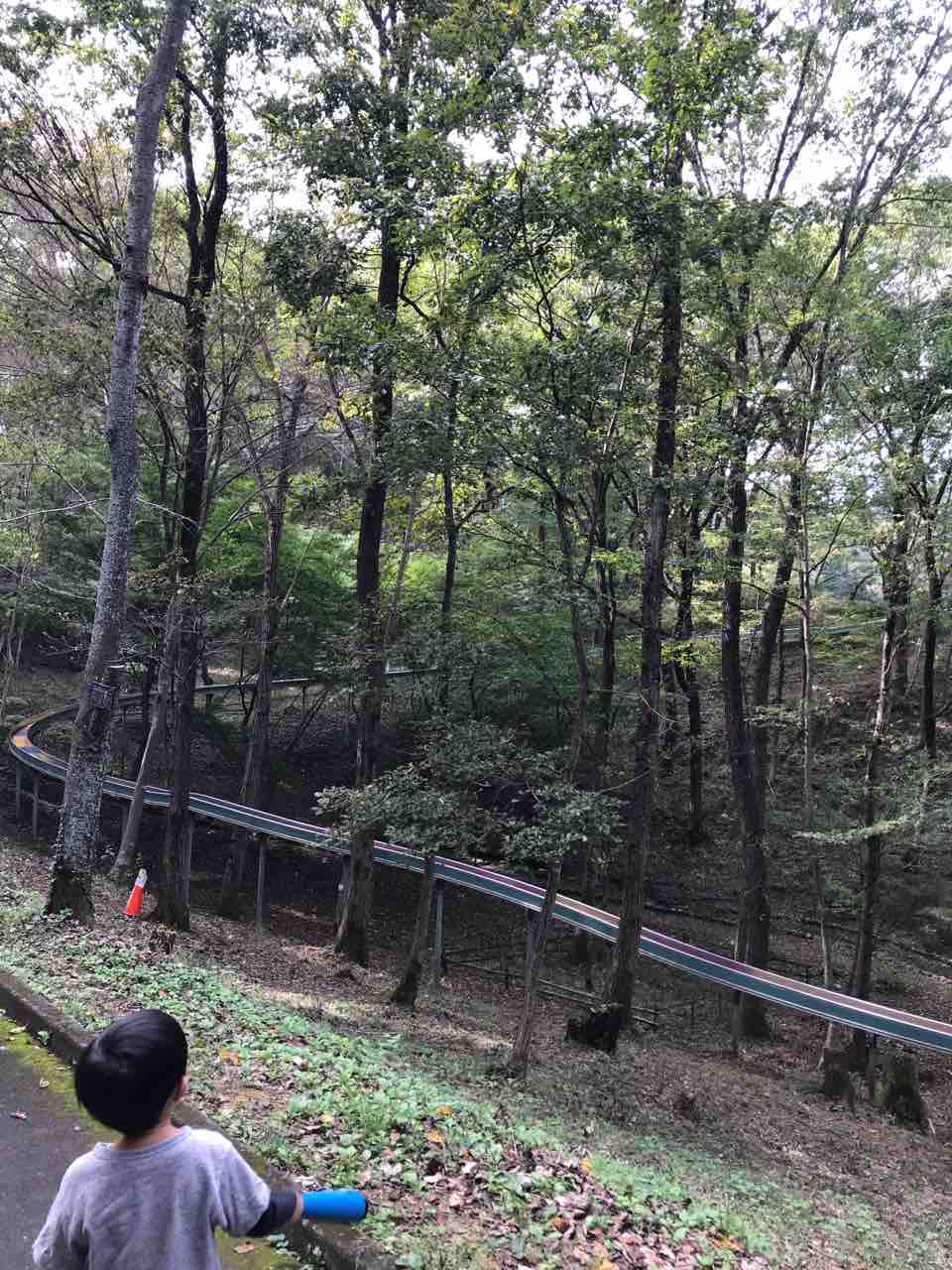 青梅市花木園 穴場的公園だった ぱぱになる 青梅市花木園 穴場的公園だった ぱぱになる