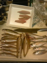 f2973551.jpg