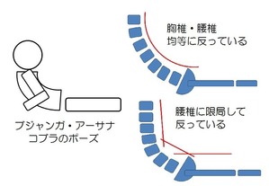 アドムカ