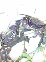 3f9c89fa.jpg