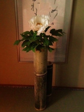 IMG_1174 (2)
