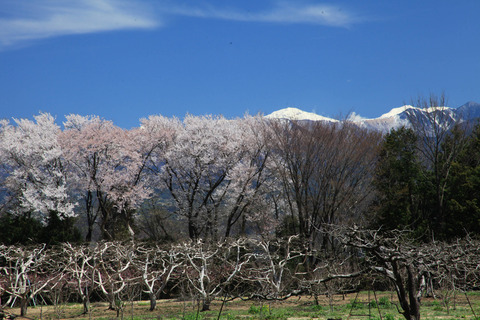 takamori2019