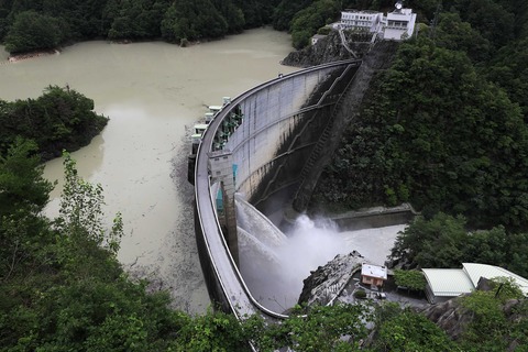 koshibudamu1