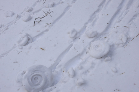 バームクーヘン