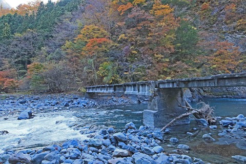 遠山森林鉄道2