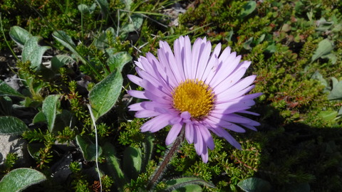DSCF0514